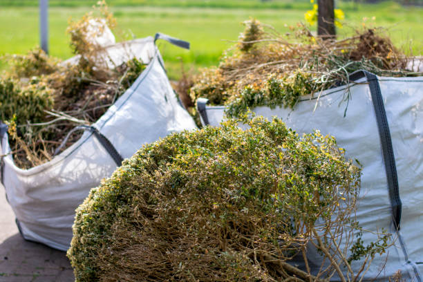 Best Local Junk Hauling  in Pilot Mountain, NC